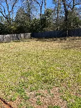 Prime cuts lawn care LLC photo 8