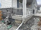 proof. Pest Control photo 8