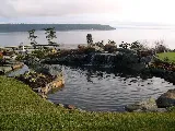 Quadra Landscape photo 6