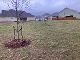 Landscape Services Group photo 2