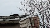 Roofing Rochester NY photo 8