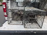 Alexandria Pest Services photo 3