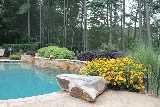 Wilson Bros. Landscape photo 6