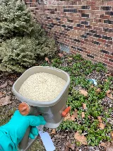 Aptive Pest Control photo 4
