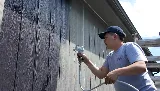 Paint Pro, Inc.