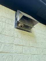 Fenix Pest Control, Inc. photo 4