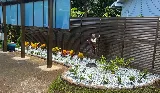 Aloha `Aina Landscaping LLC photo 5