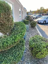 Azteca Lawn & Care / Landscaping Services photo 7