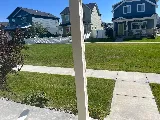 Green Magic Lawn and Landscape photo 4