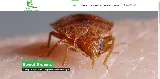 Green PEST Control Inc.