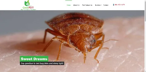 Green PEST Control Inc. photo 1