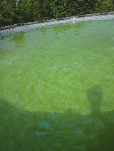 Magnolia Pool & Spa photo 2