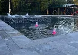 Infinity Custom Pools, Inc. photo 4