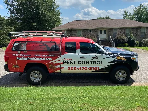 Peskies Pest Control in Birmingham
