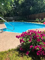 Dolphin Pool & Spa photo 3