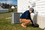 Catseye Pest Control - Providence, RI