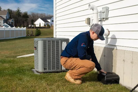 Catseye Pest Control - Providence, RI photo 1