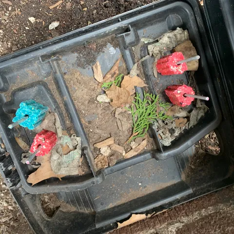 Boston Best Pest Control photo 1