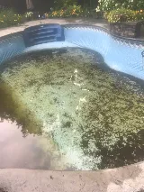Perfect Pools Inc photo 7