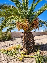 Pro Natural Landscape LLC photo 8
