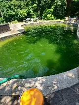 Evo Pool Service photo 8