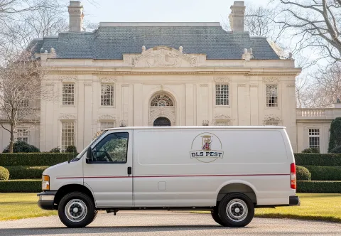 DLS Pest Solutions in Yonkers