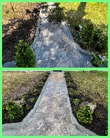 Vargas Landscape & Sprinklers photo 8