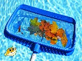 Puddle Pool Services photo 5