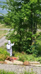 Insight Pest Solutions Ottawa photo 7