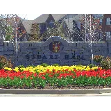 Executive Landscape Services LLC photo 7
