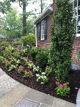 J&J Landscape Management photo 8