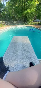 Blue Dolphin Pool Services photo 2