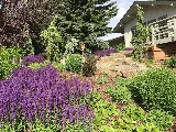 Blanchford Landscape Group photo 5