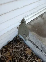 Eco-Safe Pest Control photo 10