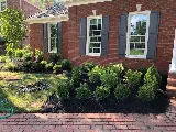 Four Seasons Landscape Management photo 5