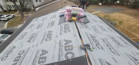 BRAX Roofing photo 1