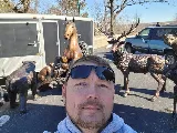 Above Average Moving LLC photo 8