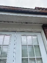 ClearDefense Pest Control photo 8