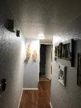 Skylight and Solar Tube Expert