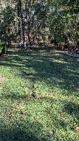 McCall Pest & Wildlife - Jacksonville photo 5