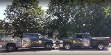 Exterminateur Gatineau CPO Contrôle Parasitaire / CPO…