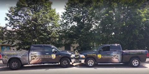 Exterminateur Gatineau CPO Contrôle Parasitaire / CPO… in Gatineau