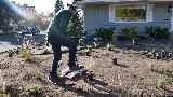 Blaska Landscaping photo 4