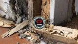 American Termite & Pest Control