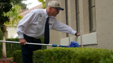 Massey Services Pest Control in Myrtle Beach