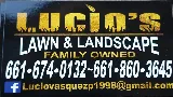 Lucio lawn & landscapes