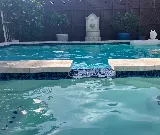 FM Pool Construction, Inc. photo 4