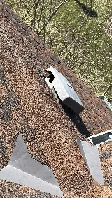 Pestro Pest Control photo 7