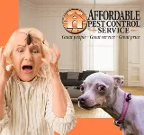 Affordable Pest Control Service