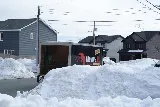 Movers NL Inc. photo 8